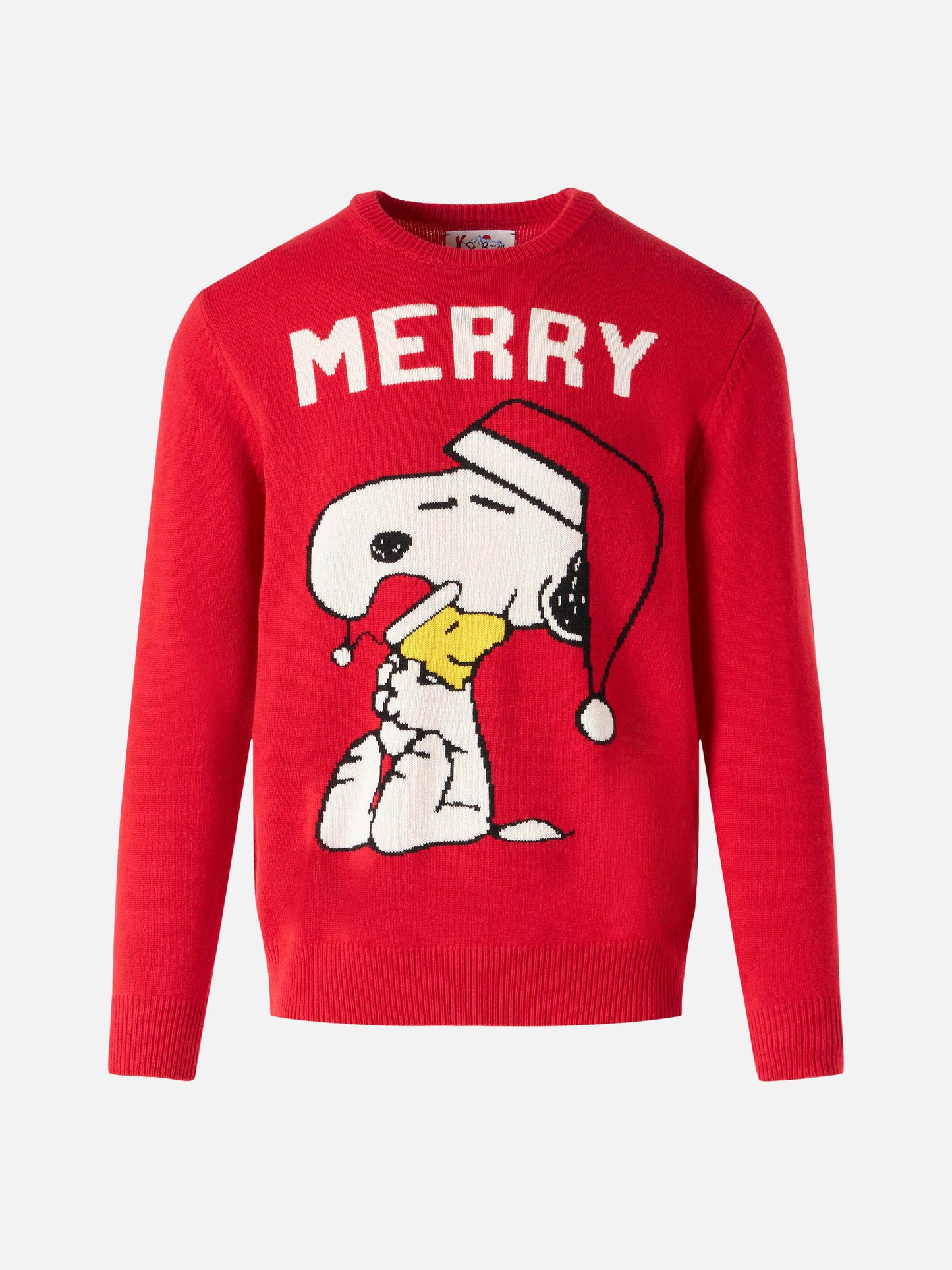 Man red sweater with Snoopy print | SNOOPY - PEANUTS™ SPECIAL EDITION