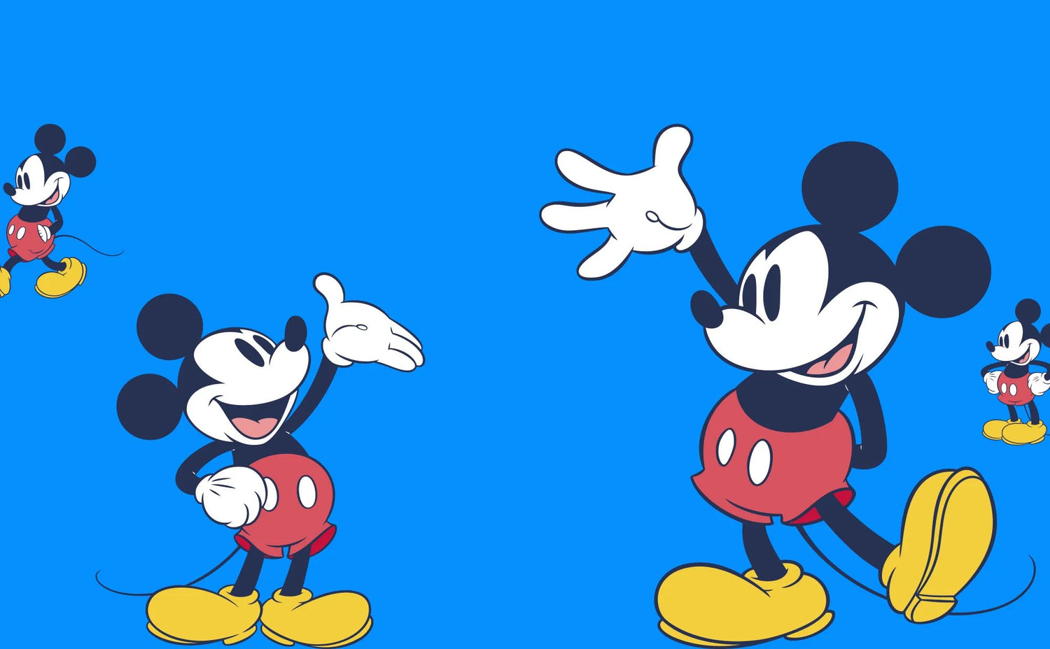 Disney Collection - View All