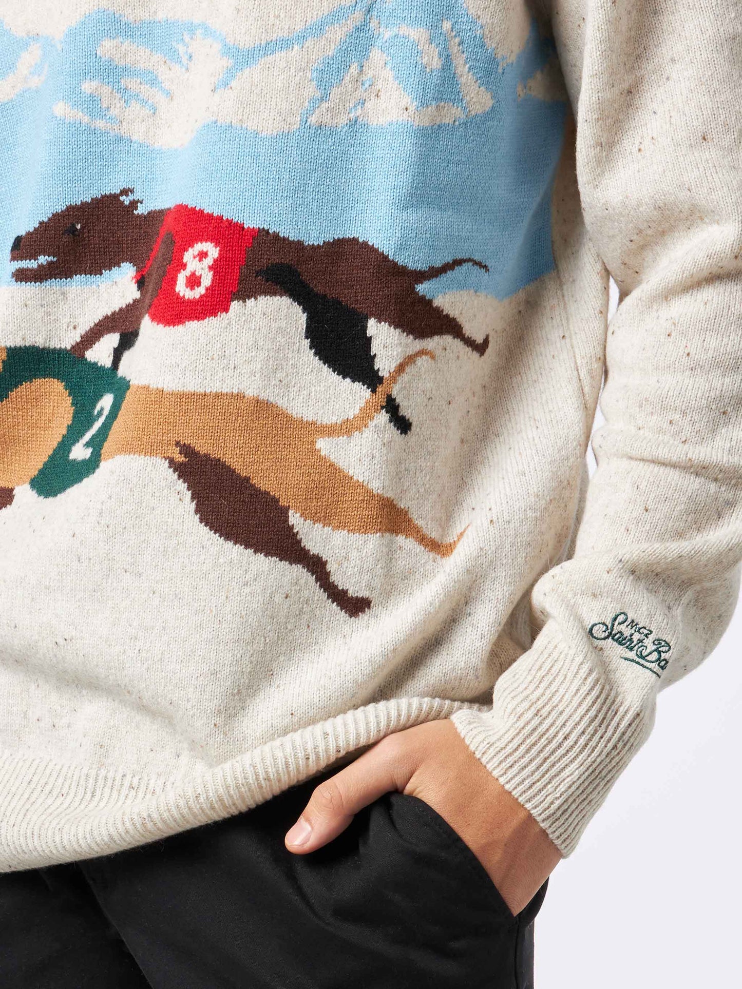 Herren-Donegal-Pullover mit Rundhalsausschnitt und St. Moritz-Polo-Print