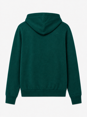 Mahony wool hooded sweater in green solid color