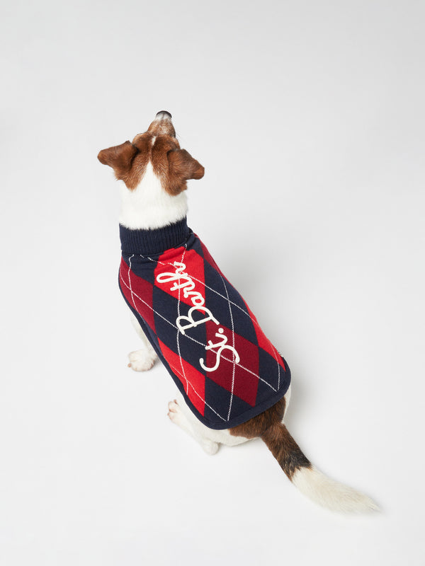 Dog sweater with argyle print