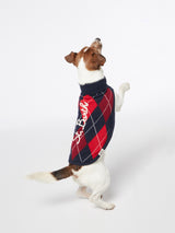 Hundepullover mit Argyle-Print