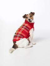 Hundepullover mit Tartan-Print