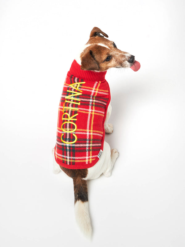 Dog sweater with tartan print