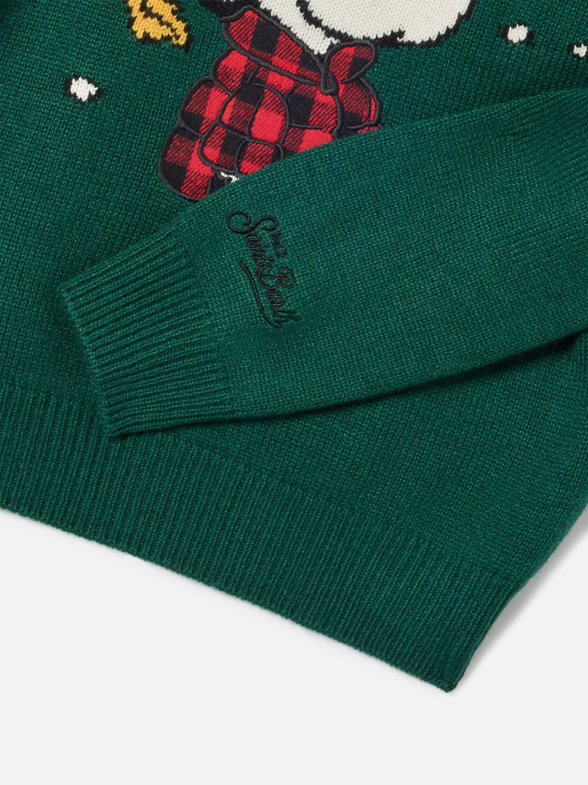 Green Douglas crewneck knit with Snoopy patch and Winter Mood embroidery | Special edition