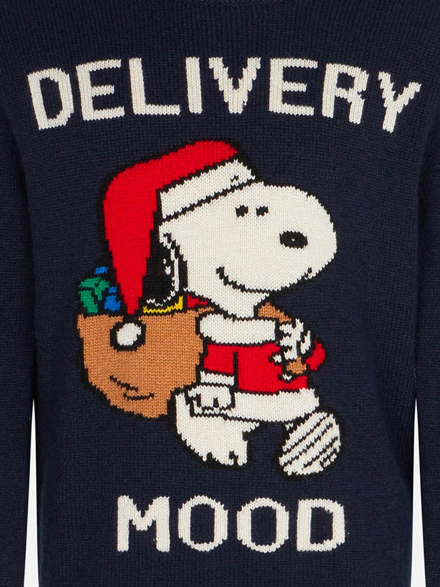 Boy crewneck sweater with Christmas Snoopy print | PEANUTS™ SPECIAL EDITION