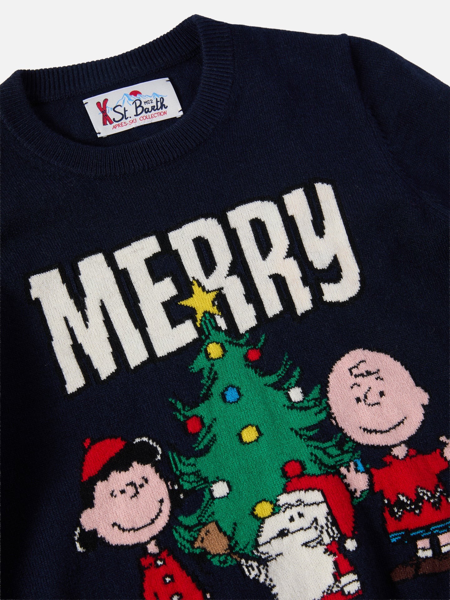 Crewneck Douglas in cashmere blend with Peanuts jacquard | PEANUTS SPECIAL EDITION