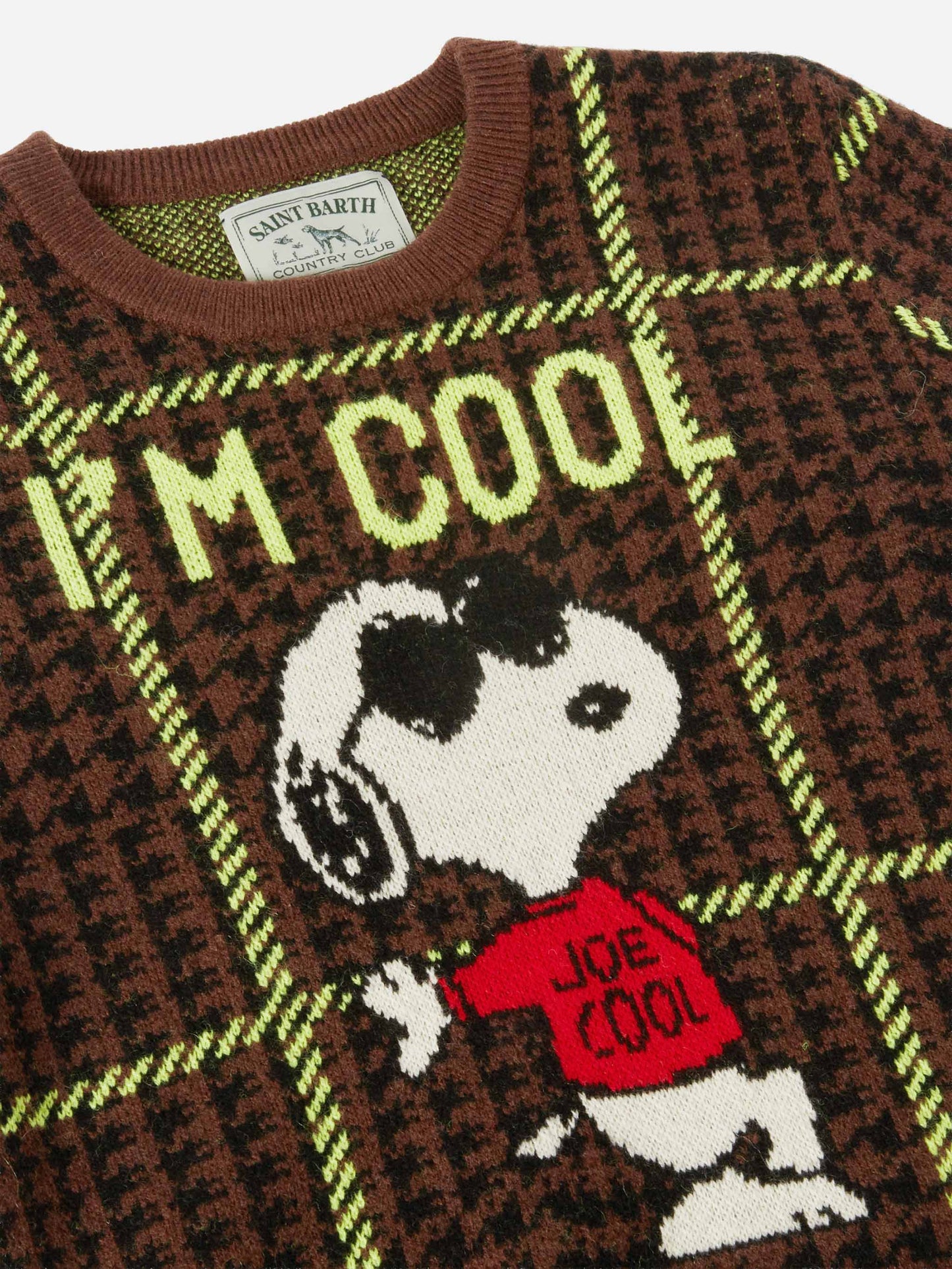 Maglione girocollo Douglas con jacquard Snoopy | PEANUTS SPECIAL EDITION