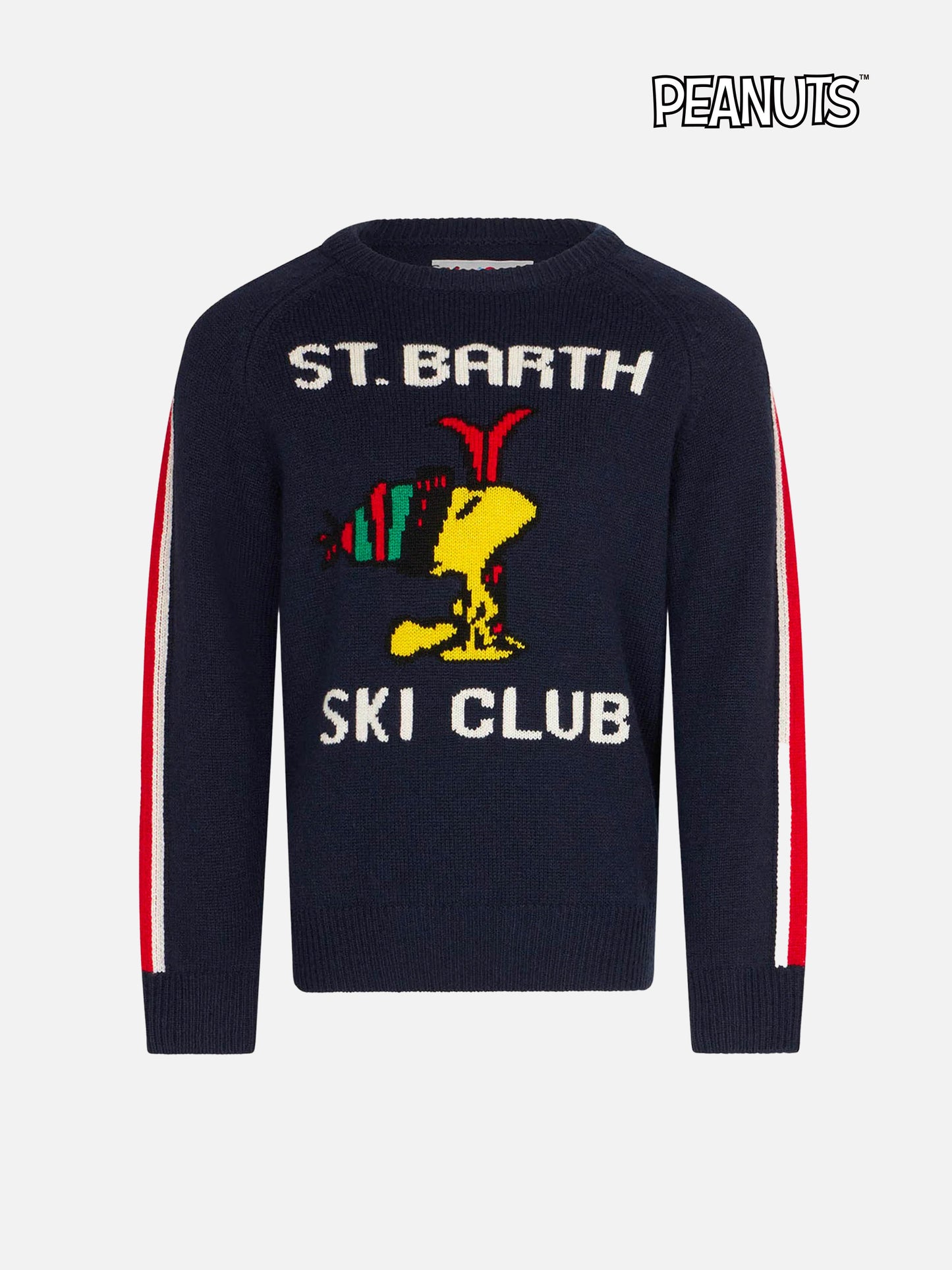 Maglione da bambino girocollo con stampa Woodstock | WOODSTOCK - EDIZIONE SPECIALE PEANUTS™