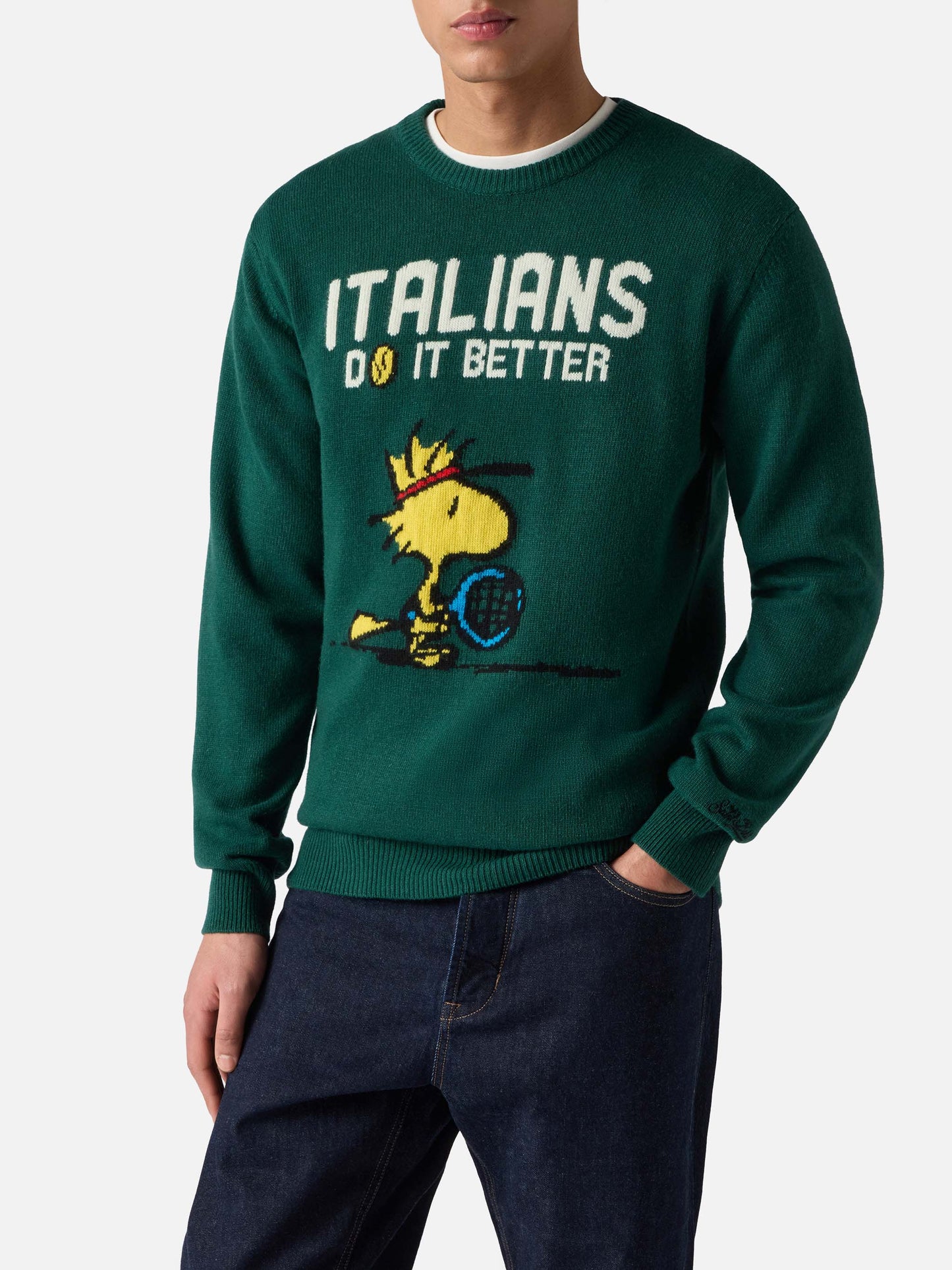 Grüner Heron-Pullover mit Woodstock-Jacquardmuster | PEANUTS-SONDEREDITION