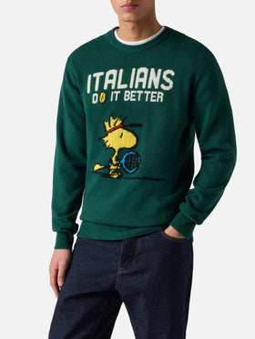 Grüner Heron-Pullover mit Woodstock-Jacquardmuster | PEANUTS-SONDEREDITION