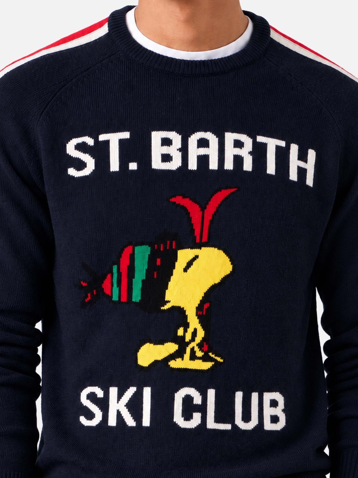 Navy blue Heron sweater with Woodstock jacquard | Special edition