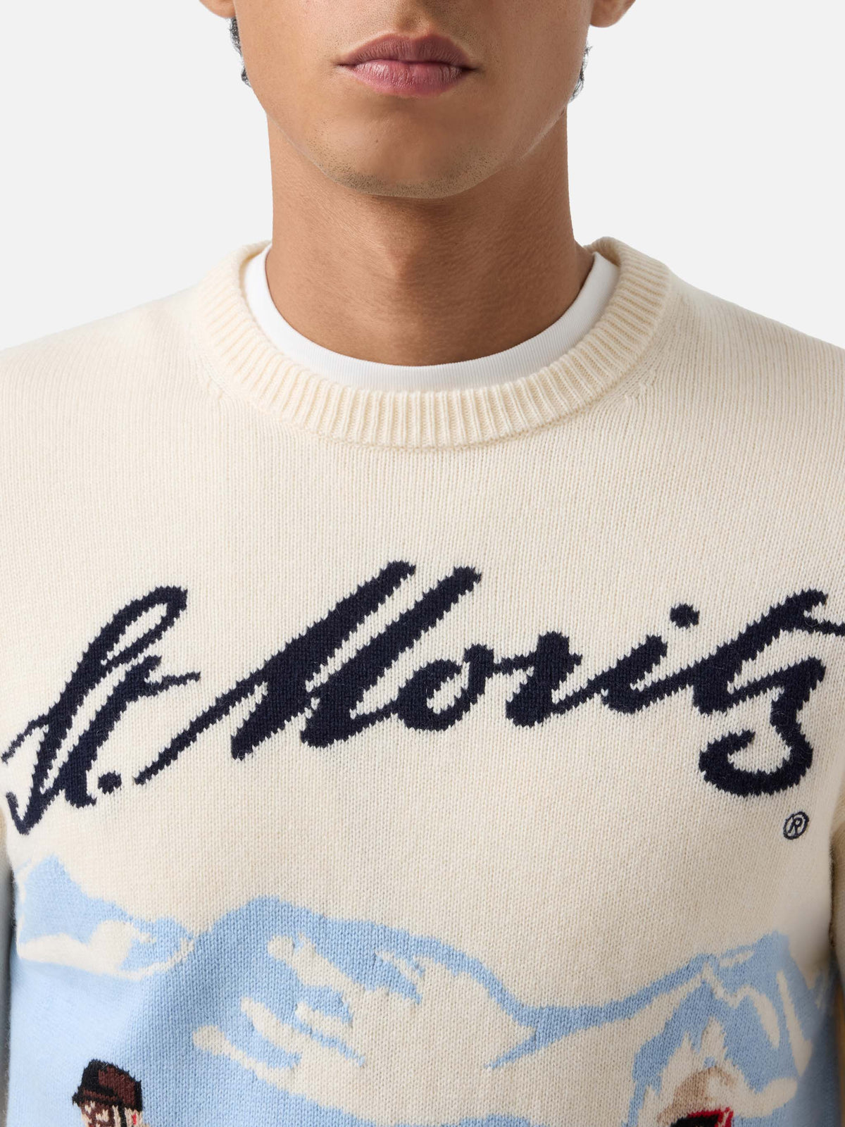 Grey Heron crewneck knit with St. Moritz intarsia | Special edition