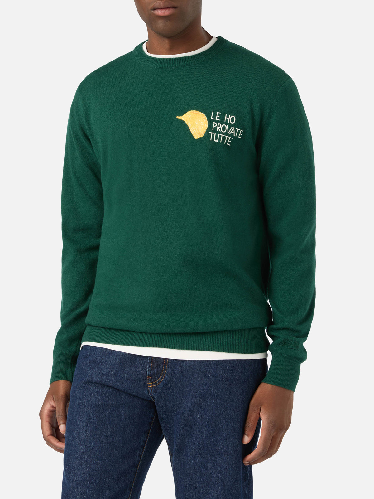 Green Heron Rundhals-Pullover aus leichter Woll- und Kaschmirmischung mit Amica Chips-Stickerei | Special edition 