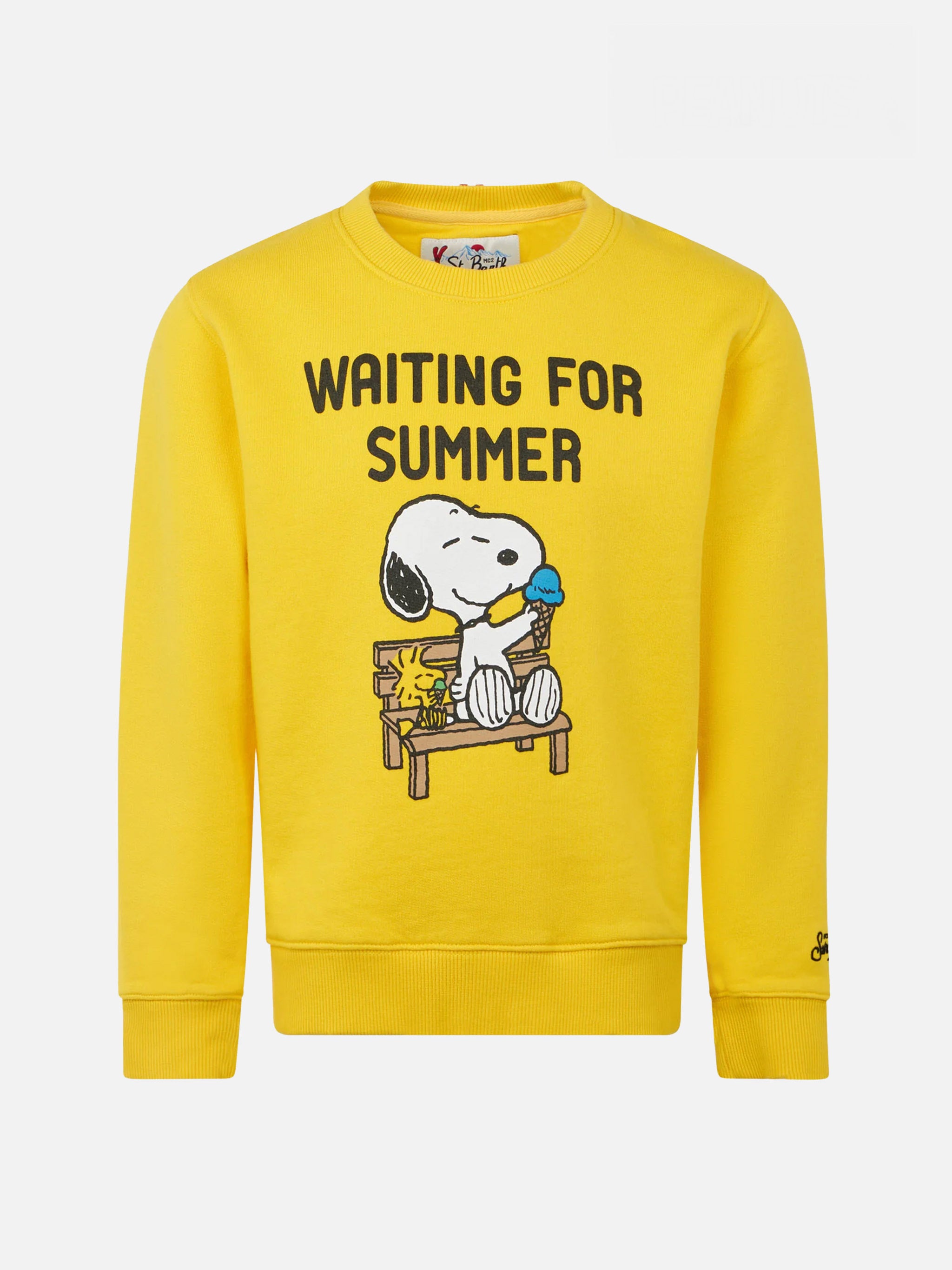 Boy crewneck sweatshirt with Snoopy print | SNOOPY PEANUTS