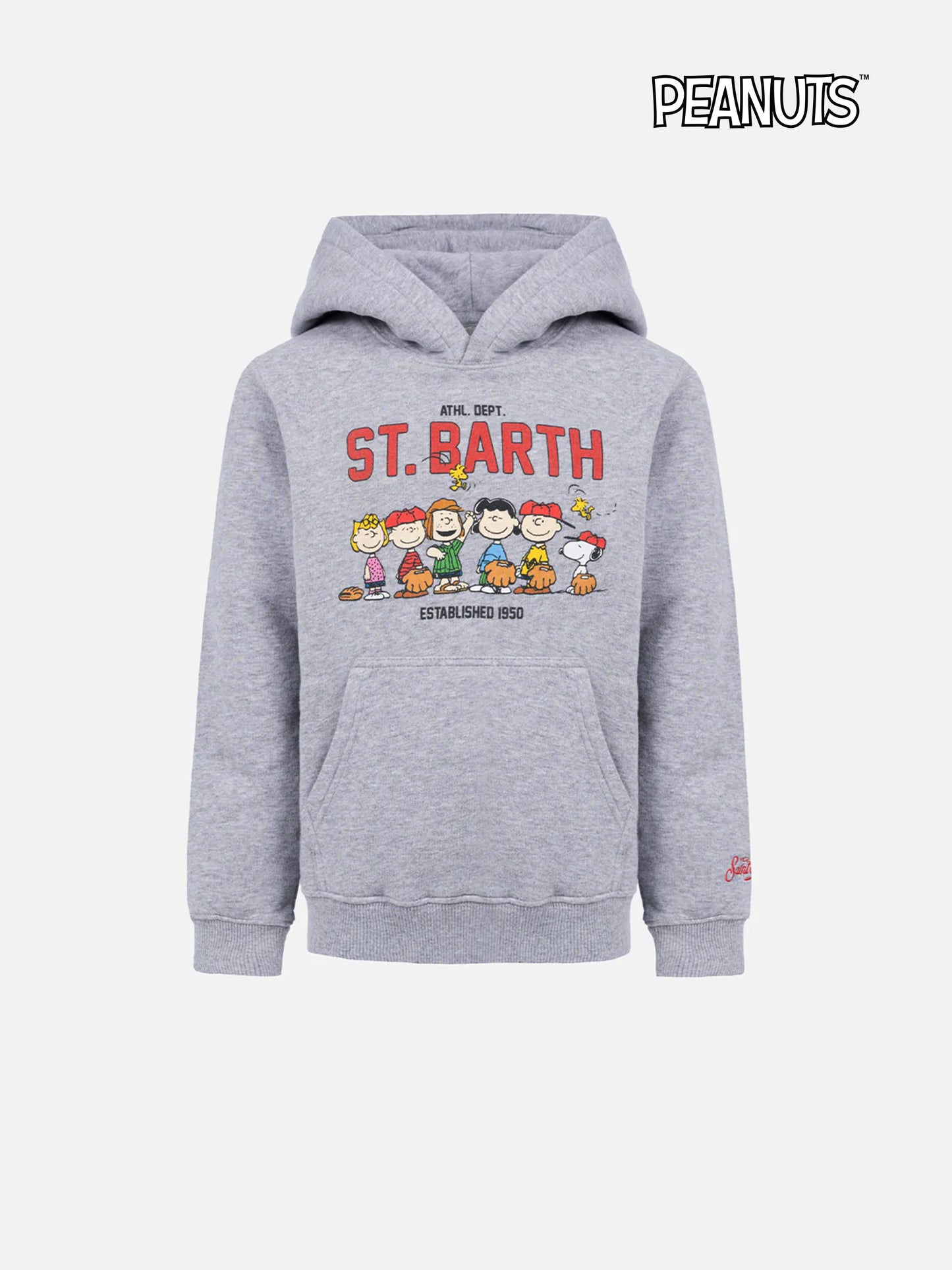 Felpa grigia da bambino Oliver con stampa Peanuts | SNOOPY PEANUTS SPECIAL EDITION