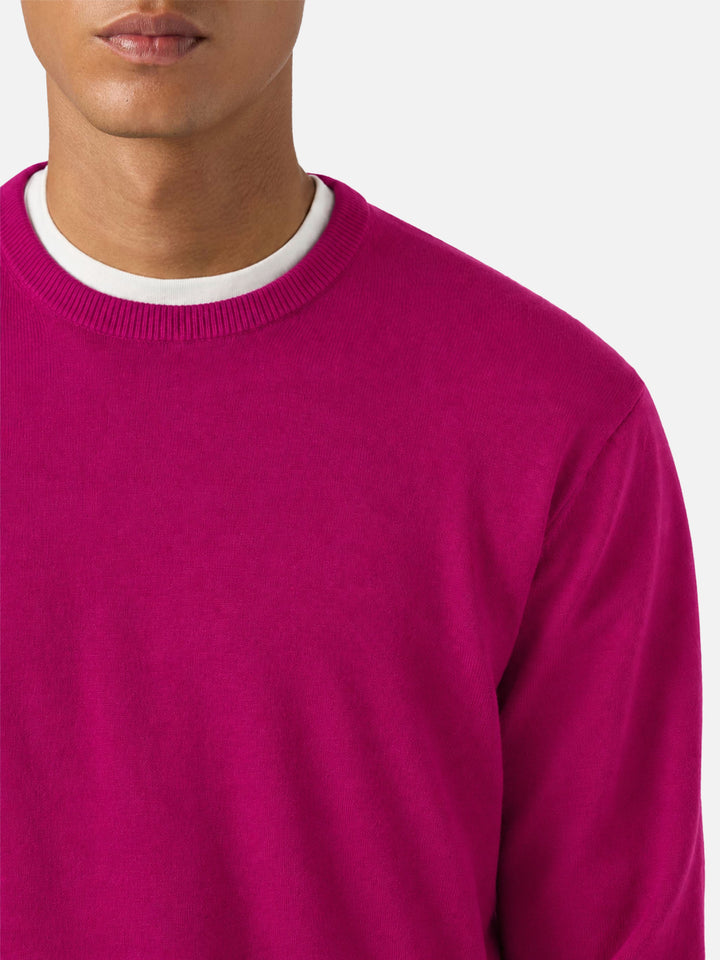 Maglione Regent Light peonia in lana merino
