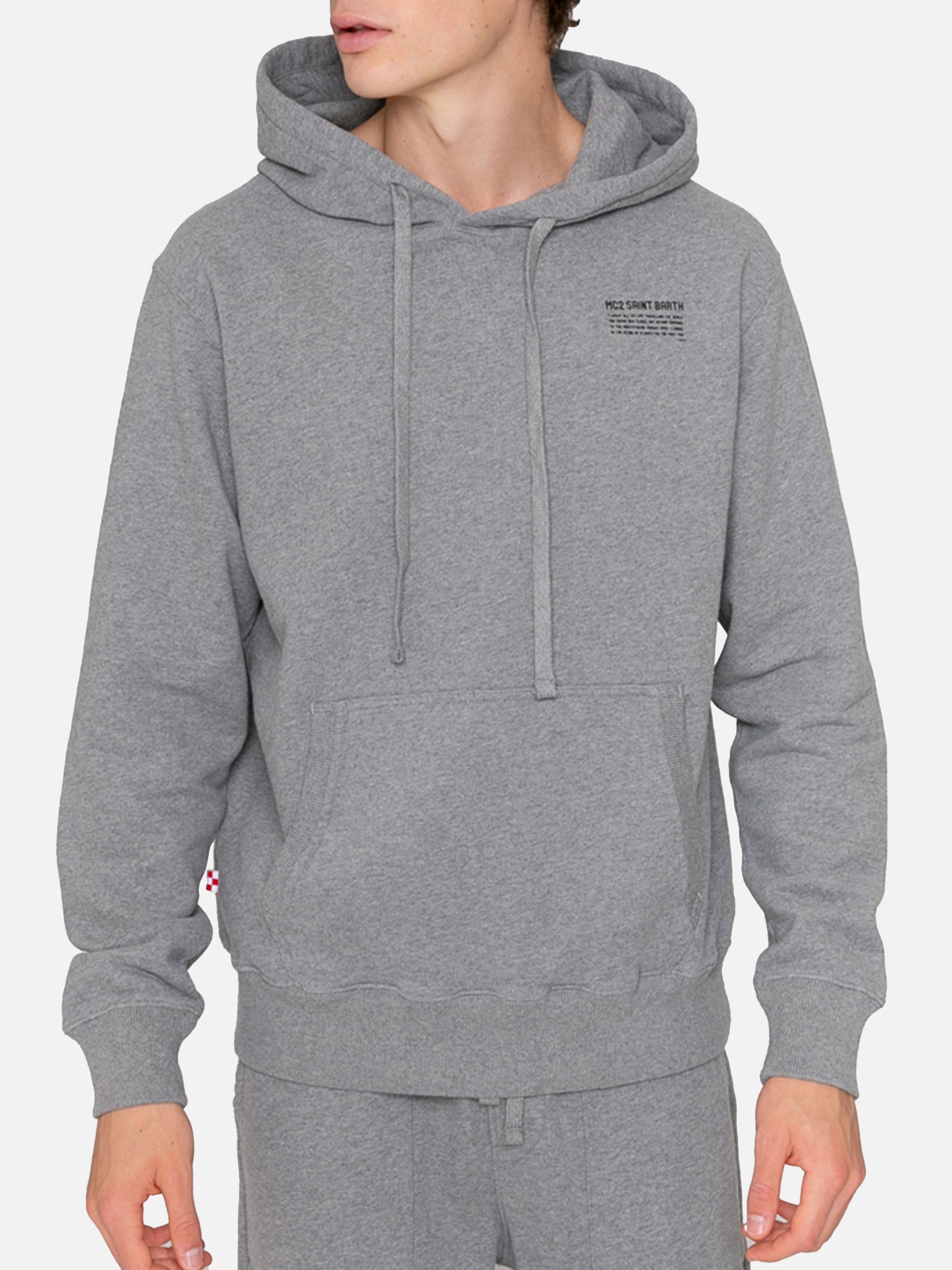 Mélange grey hoodie Pantone® Special Edition S - Main Image