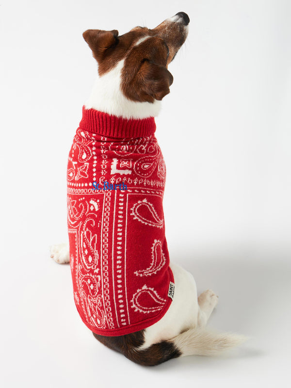 Dog sweater with bandanna jacquard