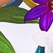 Woman triangle bikini with tropical flower print - MC2 Saint Barth